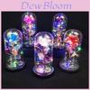 Eternal Rose Flower In Glass Led Light Romantic Valentine's Day Gift