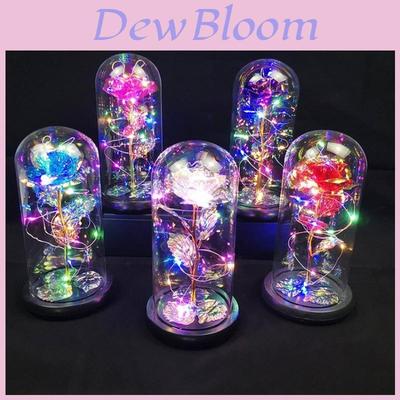 Eeuwige Rozenbloem In Glas Led Licht Romantisch Valentijnsdag Cadeau