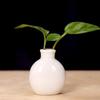 Vaso per fiori in ceramica di colore pieno, grazioso mini vaso da fiori, vaso da tavolo, vaso da fiori, casa, giardino, artigianato, decorativo