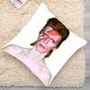 Singer D-David B-Bowie cool  Pillowcases cushion covers living room sofas home decor gifts