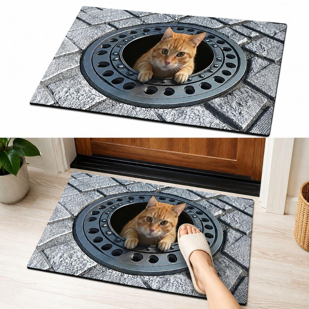 Water-absorbing Optical Illusion Doormat Non-slip Bedroom Door Rug Bathroom Carpet  Home Decor