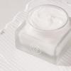 KAINE Vegan Collagen Youth Cream 50ml