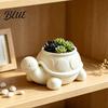 Decorative Housewarming Gift 3D Printed Turtle Succulents Pot Cute Animal Planter for Indoor Plants Desktop Decor Flowerpot Mini Green Minimalist