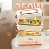 Double Layer Electric Heating Lunch Box