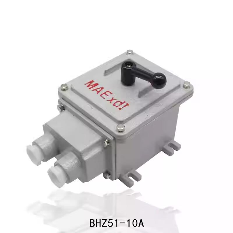 YuHengJi BHZ51-10A Explosion-proof Changeover Switch