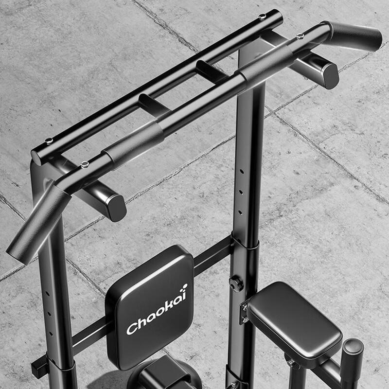 Lishitu Home Gym Floor-Standing Pull-up and Dip Station