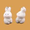 DIY Flocking 3D Small Dog Pendant: Corgi, Teddy, Rabbit Keychain