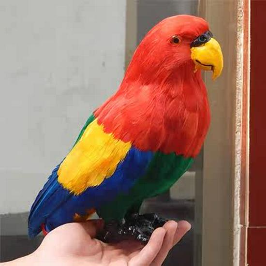 Colorful Large Parrot Decorative Ornament with Feathers