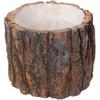 Decorațiuni pentru casă – Ghivece de flori decorative