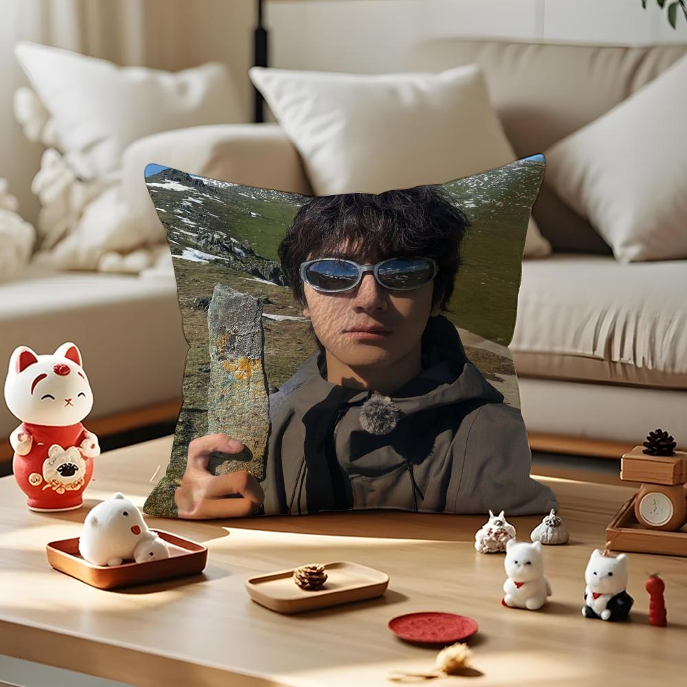 LinYi Chinese Actor Cushion Cover Anti-dustmite Pillowcase Invisible Zipper Silky Short Plush Sofa Cushion Cover