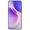 Vivo X300 5G AI Smartphone (CN Version)