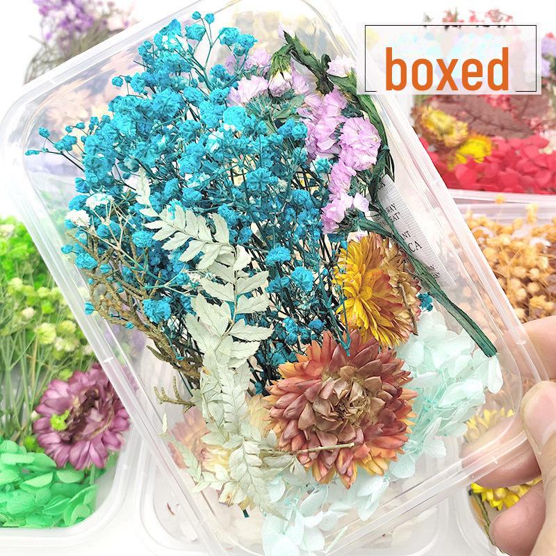 Assorted Dried Flower Craft Kit: Everlasting Flowers, Handmade Scented Candles, Photo Frames, Stickers, Air-Dried Hydrangea.