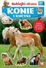 Horses and Ponies