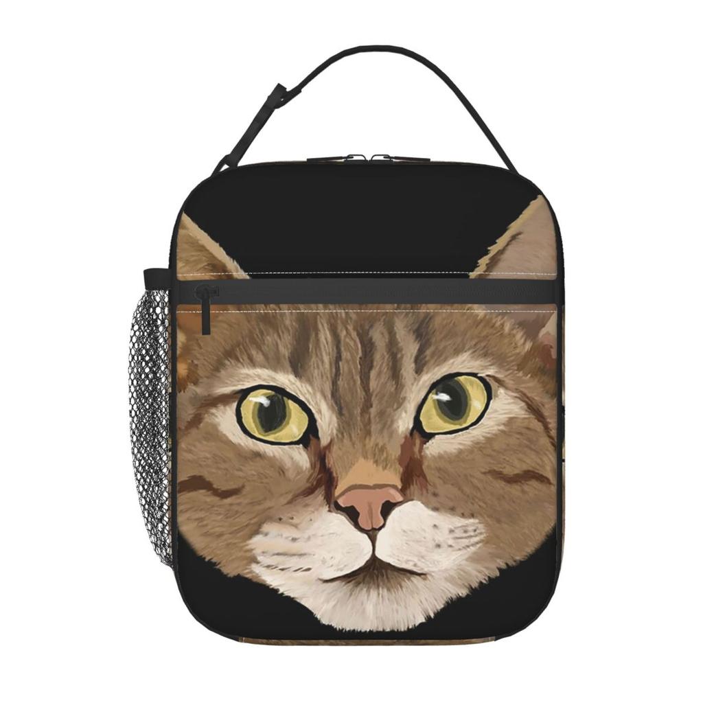 Cute Tabby Cat Face Insulated Lunch Bag for Women Kids Portable Food Boxes Thermal Lunch Box Tote