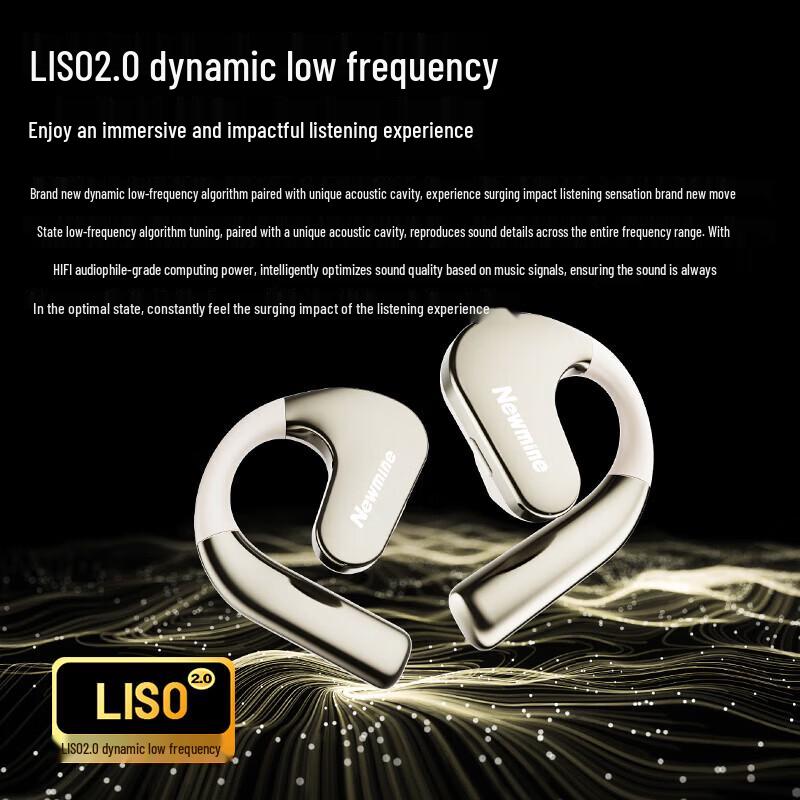 Newman Q12 Bone Conduction Wireless Ear-hook Earphones