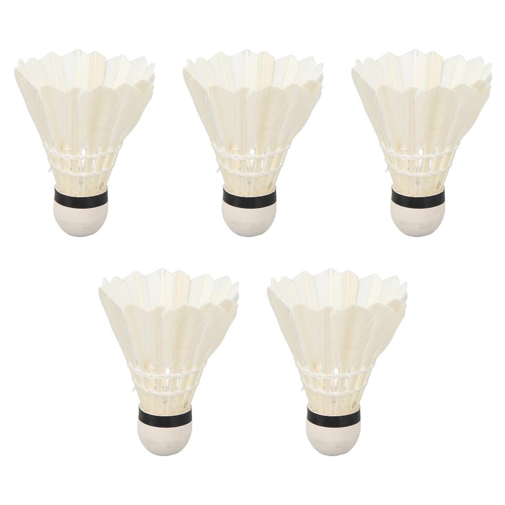 5pcs LED Badminton Shuttlecocks Dark Night Glow Birdies Lighting Switch Control Elastic Goose