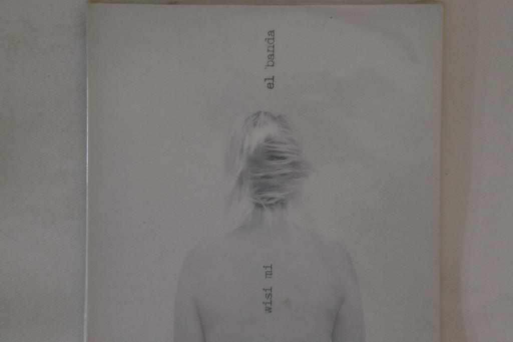 CD EL BANDA - Wisi Mi NONE PASAZER 2008 Poland Rock Used