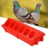 Flip Top Poultry Multipurpose 12 Holes Thickened Small Poultry Feeding Tray For Chicken Duckling Bird Pigeon