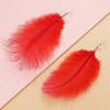 Ethnic Style Long Feather Earrings, Travel Photo Accessories, Stage Catwalk Performance Feather Accessories