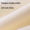 Urban Lady's 2025 Cotton Antibacterial Seamless Briefs