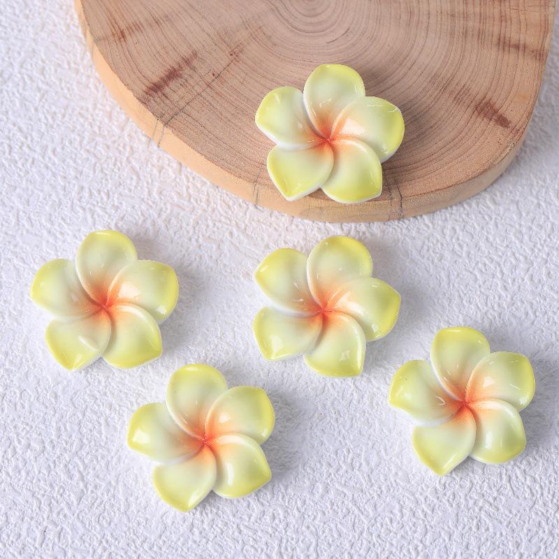 Frangipani Harzblume DIY Schmuck: Schlüsselanhänger, Anhänger, Haarspangen und Aufnäher