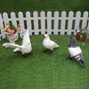 Realistic Pigeon Ornaments: Fake Pigeon Dolls, Wedding Decor, Animal Models, Peace Bird Props