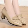 5.5cm 7cm Elegant Office Ladies Soft Leather Shoes Shallow Mouth Heeled Shoes Spring 2025 Trend Med Block Heels Shoes for Work