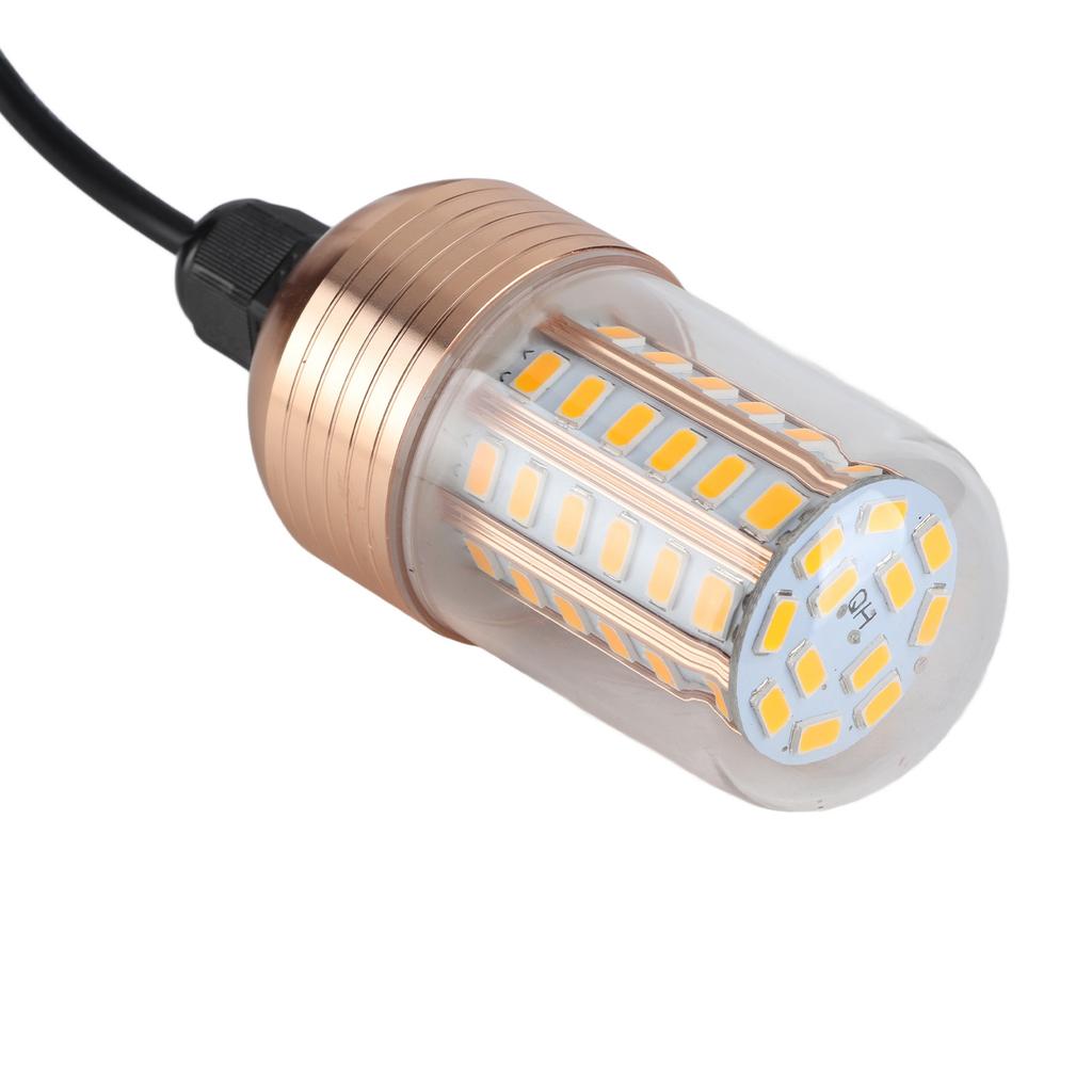 LED Fiskeljus Superstarkt 60 LED 3000lm 30W IP68 Vattentät Undervattens Nattfiskelampa