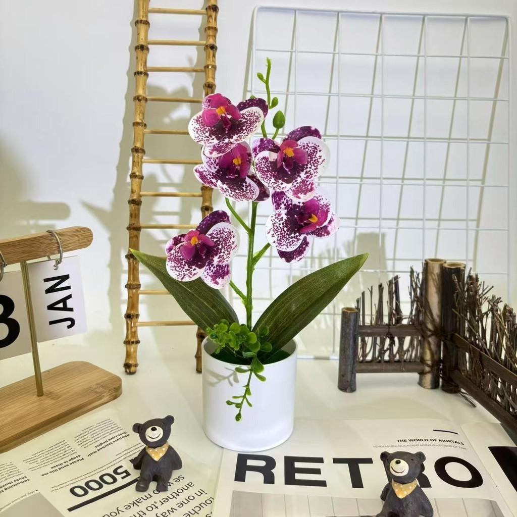 Artificial Plastic Phalaenopsis Flower Bonsai For Event Decoration Home Styling