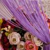 Door Fly Screen Thread Curtains Encryption Type Panel Tassel Curtain Ribbon String Divider Blind