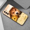 Cute cartoon Dachshund Dog Phone Case For Samsung Galaxy S22 Pro S21 S20 Ultra FE S10 Lite 5G S10E S9 S8 Plus Soft Black Cover