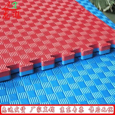 Longxia Premium Thick Taekwondo Mat