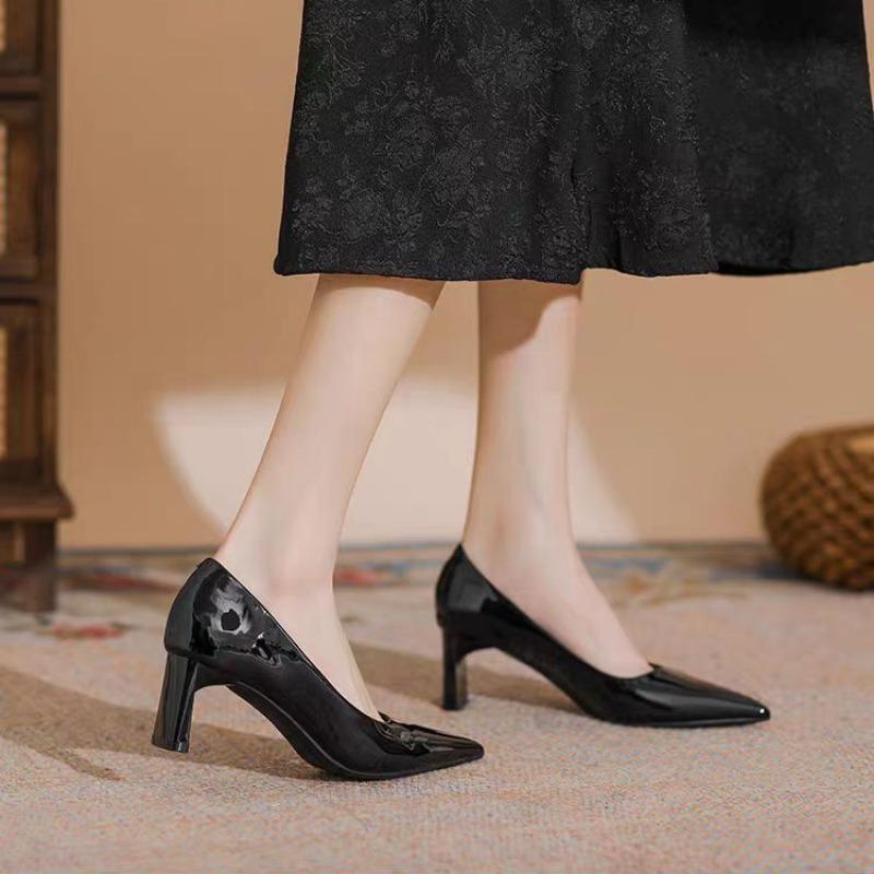 Fashion Autumn New Coarse Heel Shoes Women's Fashion Pointy Shallow Mouth Non-slip and Wear-resistant Slip-on High Heels
