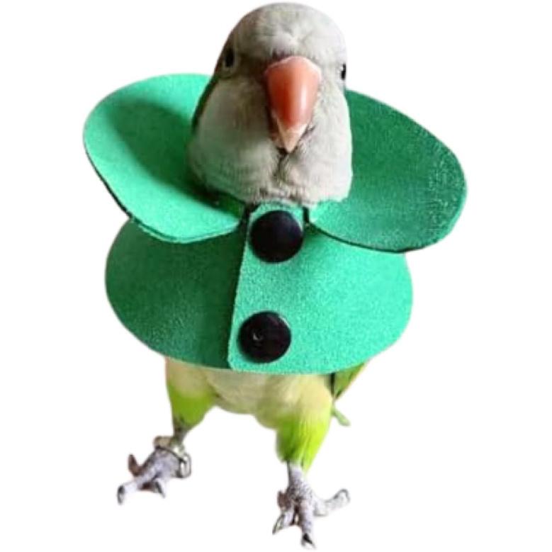 

Pet Parrot Anti-bite Elizabethan Collars, Anti-Grab Feather Plucking Wound Healing Safety Recovery Collar Cones for Budgerigar Lovebird Conure XS