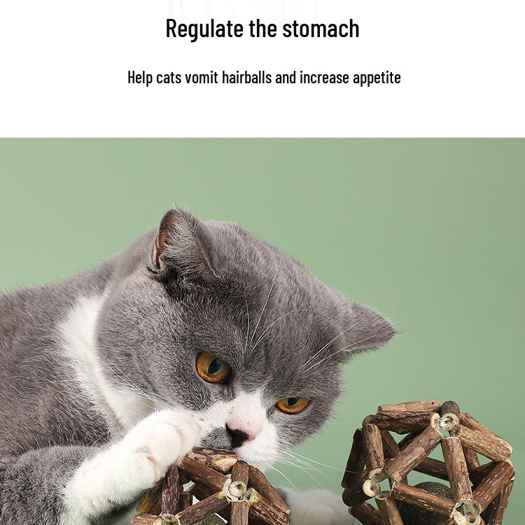Catnip & Polygonum Teething Ball Toy for Kittens