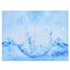 Innovative Pattern Curtain Waterproof Bright Color Shower Curtain for Bathroom Home Bathtub