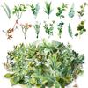 Green Artificial Plants Leaf Party Home Wedding Decor Accessories DIY Cake Candy Box Garland Christmas Decoration Flowers Wreath
