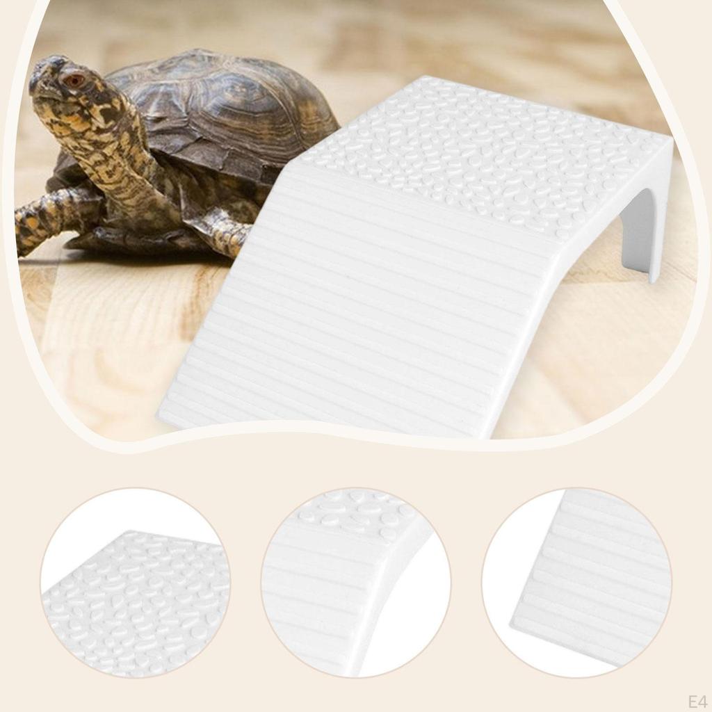 Aquarium Accessory for Turtles Featuring a Climbing Ramp and Basking Zone