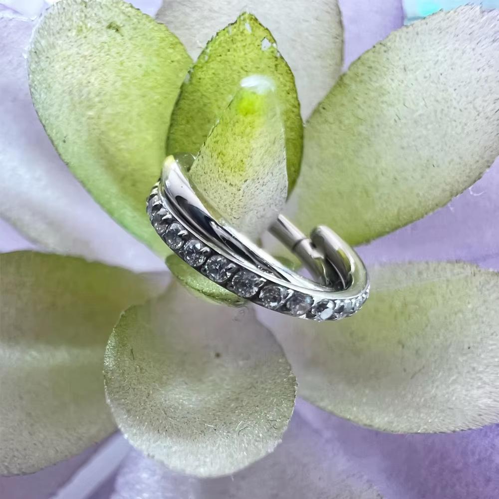 G23 Titan Piercing Doppellagig Dreifach Gestapelt Scharniert Zirkon Nasenring Helix Knorpel CZ Kleiner Knorpel Septum Clicker