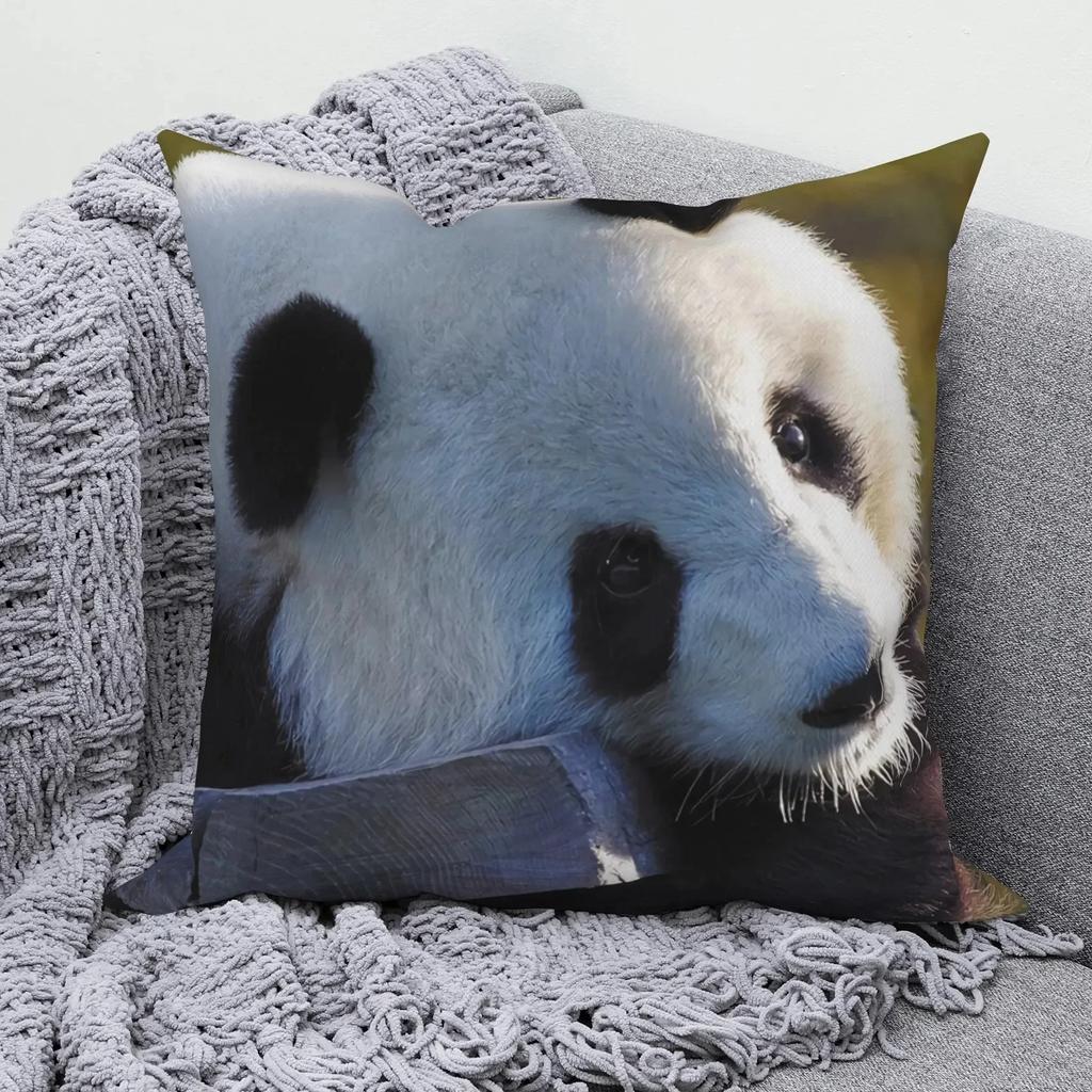 Square Pillow Cute Giant Panda Animal Pattern Cushion Cover Home Living Room Sofa Bedroom Decoration