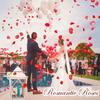 6000/500 Piezas Pétalos de Rosa Roja Artificiales Falsos Rosas de Seda de Simulación Pétalo de Flor para Día de San Valentín Boda Fiesta Decoración Venta al por Mayor