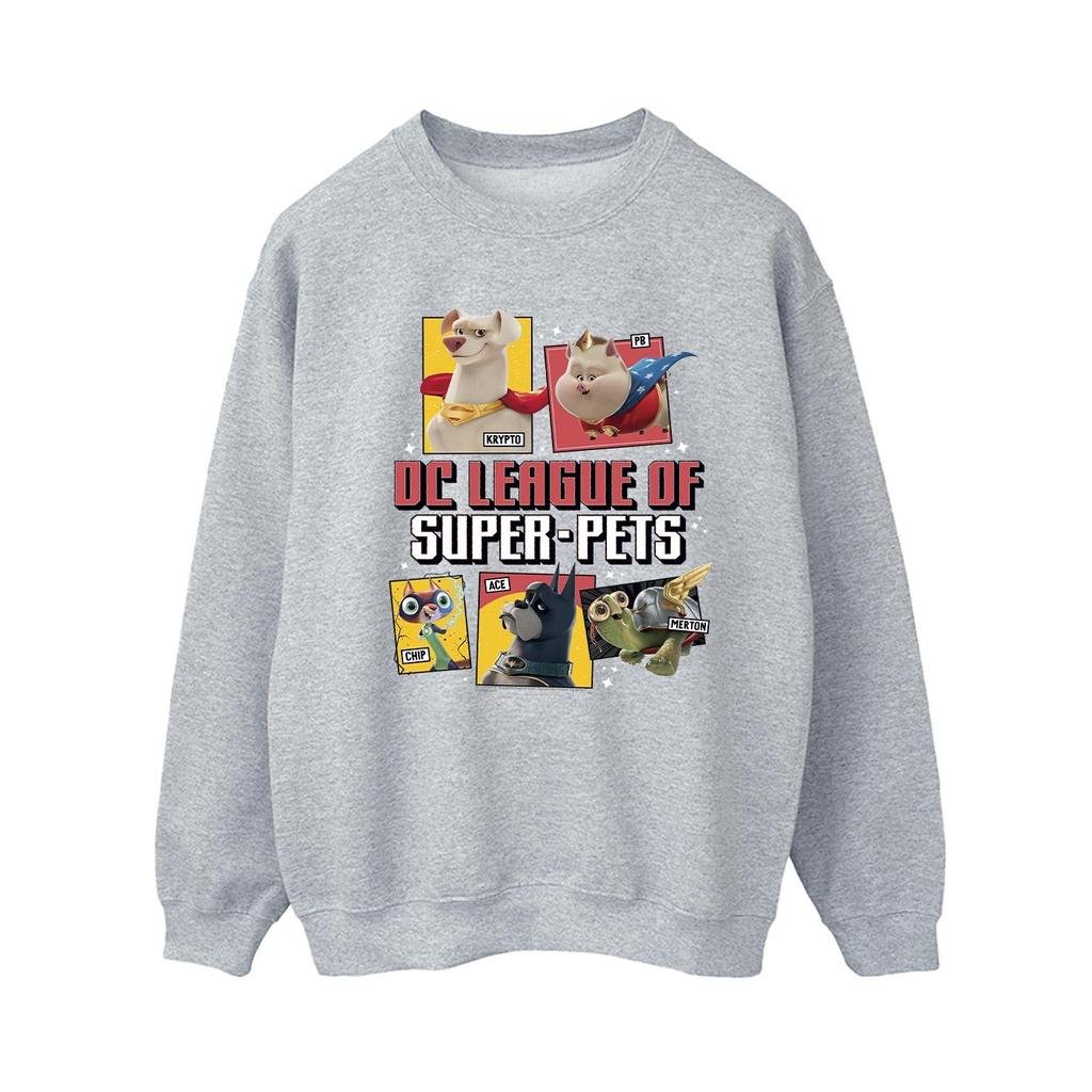 DC Comics Dámská/Dámská mikina s profilem DC League Of Super-Pets