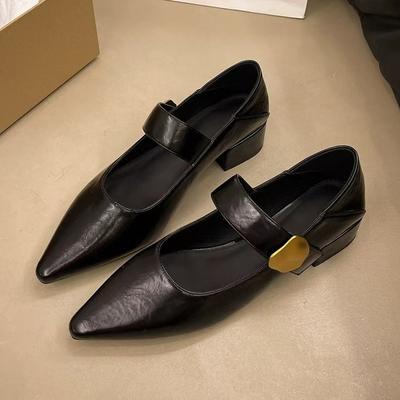 French Thick Heel Velcro Shallow Mouth Single Shoes Women's 2025 Spring and Autumn New Pointed Foreign Style Versatile Mary Jane Small Leather Shoes