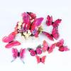 3D Double-Layer Butterflies Wall Décor & Refrigerator Magnets