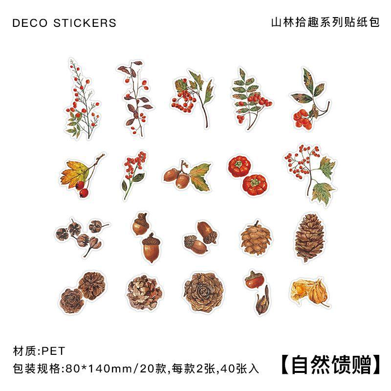 40 pieces Vintage plant PET decorative landscaping sticker Pack Adhesive diy sticker scrapbook material