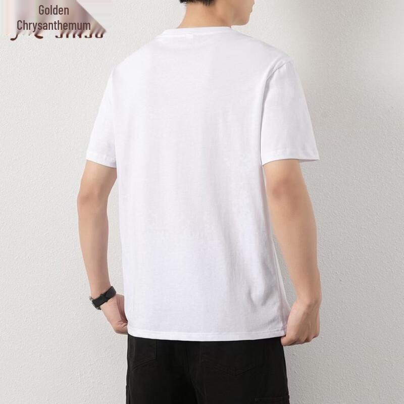 Men's Basic 100% Cotton Short Sleeve T-shirt