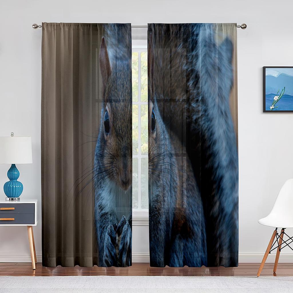 Squirrel Standing on Tree Branch Animal Sheer Voile Curtains for Living Room Modern Curtains for Kitchen Chiffon Tulle Curtain