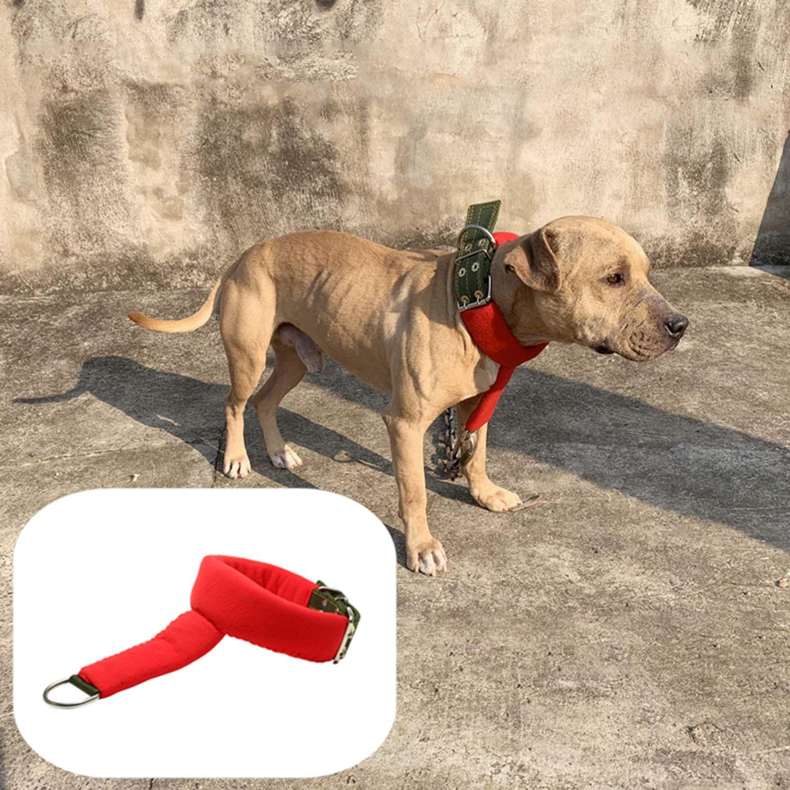 

Регулируемый ошейник-чокер для собак, металлическая пряжка, аксессуар для питомца, удобный для средних собак, мастифов M