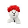 Pet Wig for Small Dogs and Cats Halloween Costume Accessory