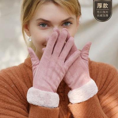 Ski Gloves Women's Autumn and Winter Velvet Suede Warm Outdoor Riding Finger Gloves Driving Thickened